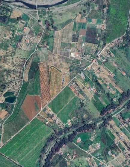 informe_compatibilidad_urbanistica_ambiental_proyecto_nutrafly_coin_servicios_ambientales_coccosphere_environmental_analysis_1
