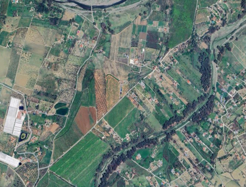 informe_compatibilidad_urbanistica_ambiental_proyecto_nutrafly_coin_servicios_ambientales_coccosphere_environmental_analysis_1