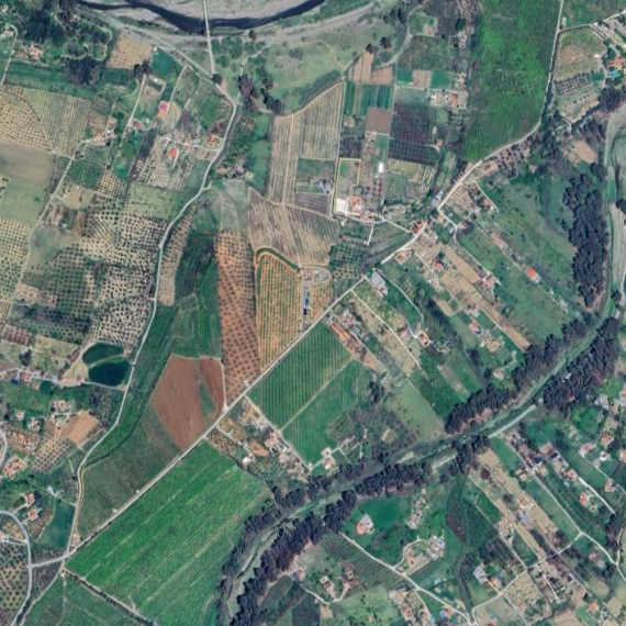 informe_compatibilidad_urbanistica_ambiental_proyecto_nutrafly_coin_servicios_ambientales_coccosphere_environmental_analysis_1