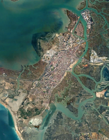 informe-pericial-ambiental-zona-bajas-emisiones-san-fernando-servicios-ambiental-coccosphere-consultoria-ambiental-1