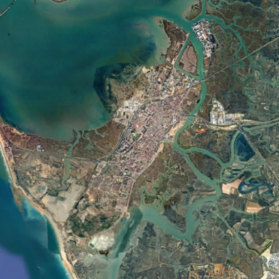 informe-pericial-ambiental-zona-bajas-emisiones-san-fernando-servicios-ambiental-coccosphere-consultoria-ambiental-1
